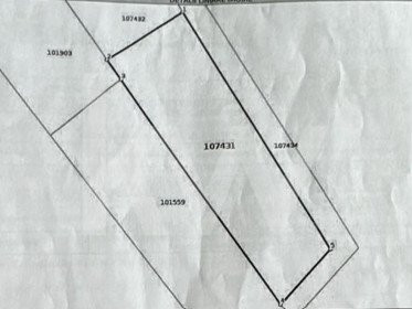 Teren intravilan in Tocile - 800 mp