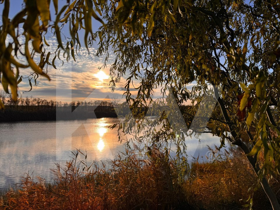 Delta Moldovei – Investiția Perfectă în Natură, Ecoturism și Dezvoltare Durabilă