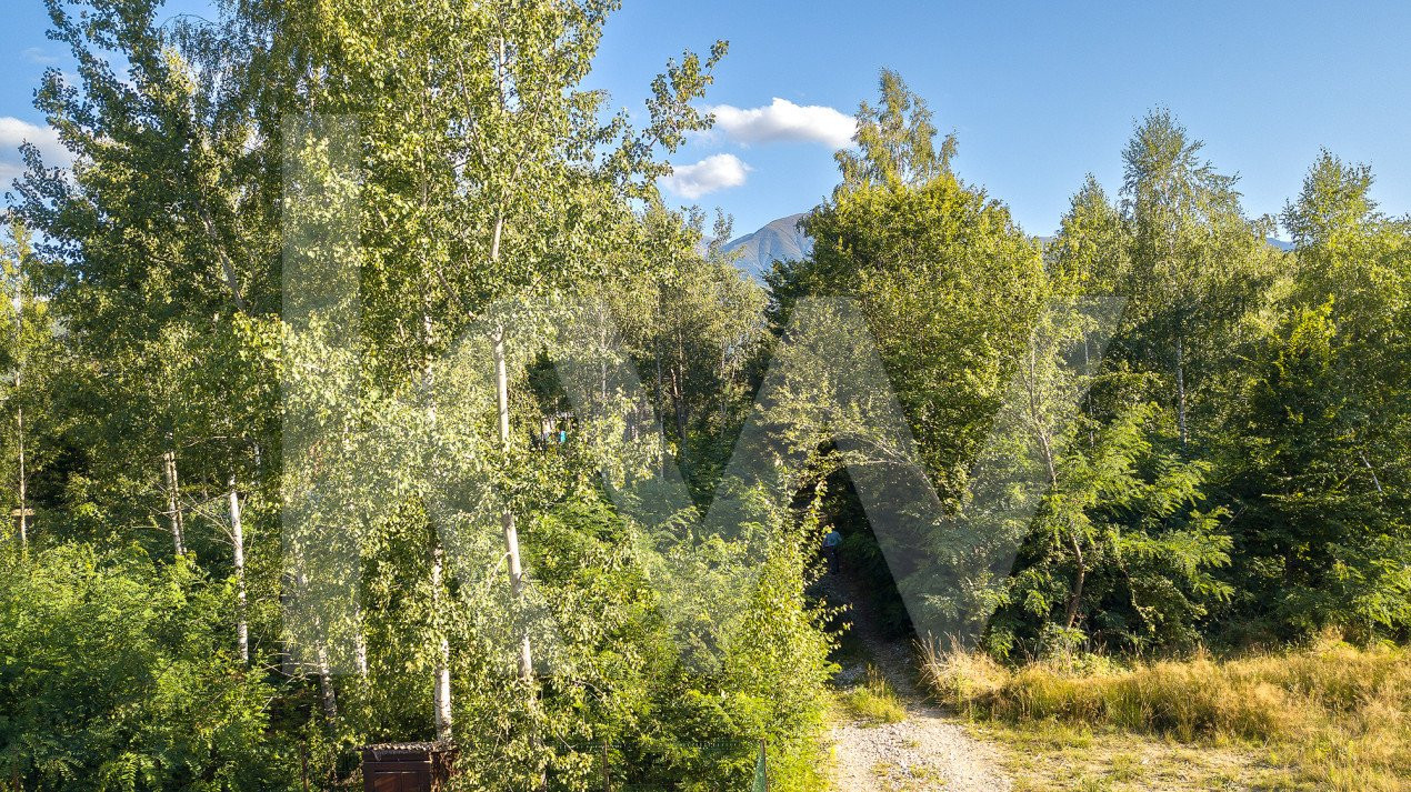 Teren intravilan - Valea Avrigului - 1300 mp