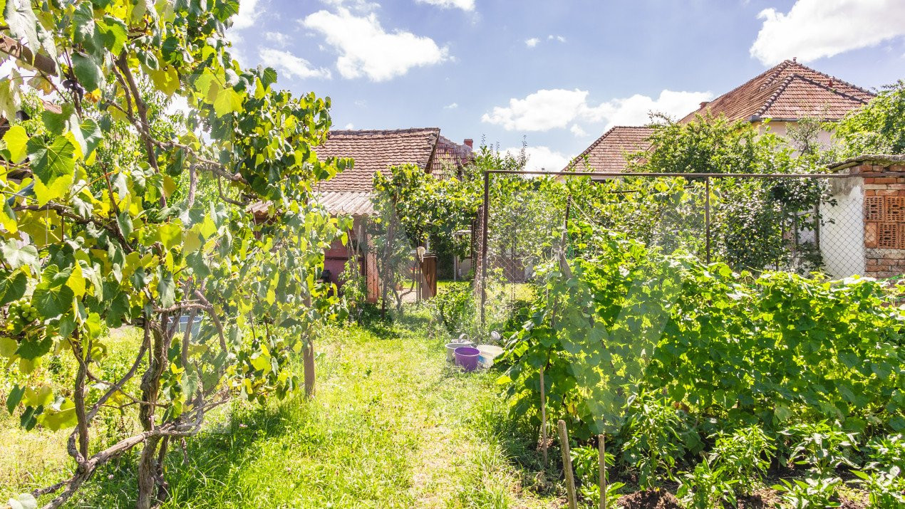 Casă individuală de vânzare str. Cărămidăriei, Sibiu