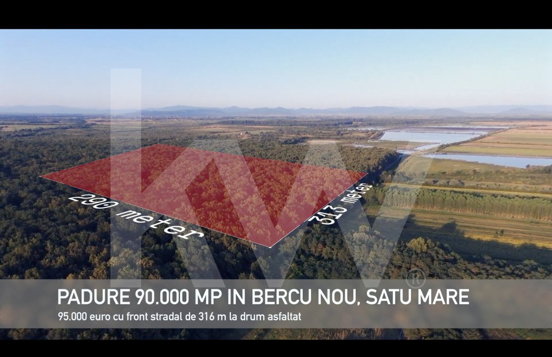 Pădure lângă Granița HU/RO/UA 90.000 mp Bercu Nou, Satu Mare 447196