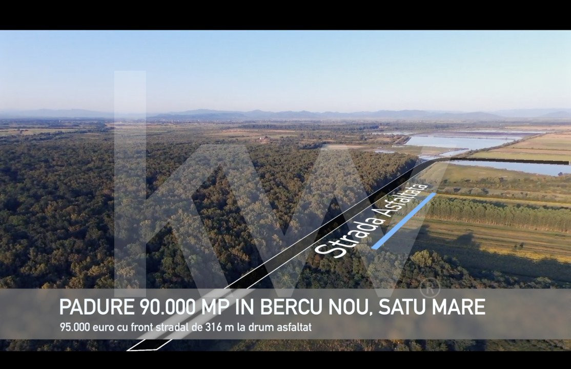 Pădure lângă Granița HU/RO/UA 90.000 mp Bercu Nou, Satu Mare 447196