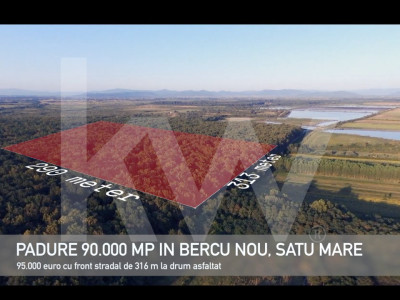 Pădure lângă Granița HU/RO/UA 90.000 mp Bercu Nou, Satu Mare 447196